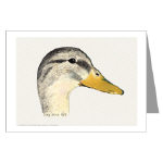Duck Mallard Hen Watercolor Greeting Card by NANCE